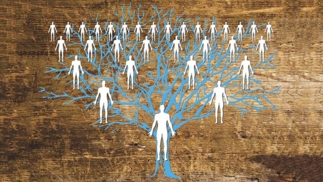 La successione legittima: parentela.